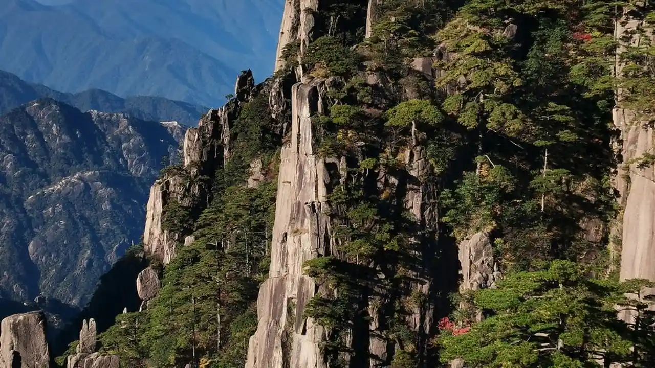 天美麻花星空免费观看电视1